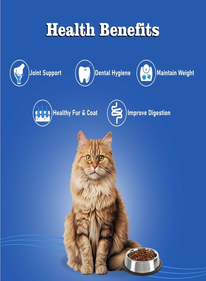 DORSAL Adult Cat Food, 500 gm, Fish Flavored (1+ Years) - Image 4