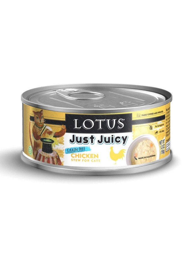 Lotusfalls Lotus Cat Food Just Juicy Chicken Stew 24/5.30 oz 