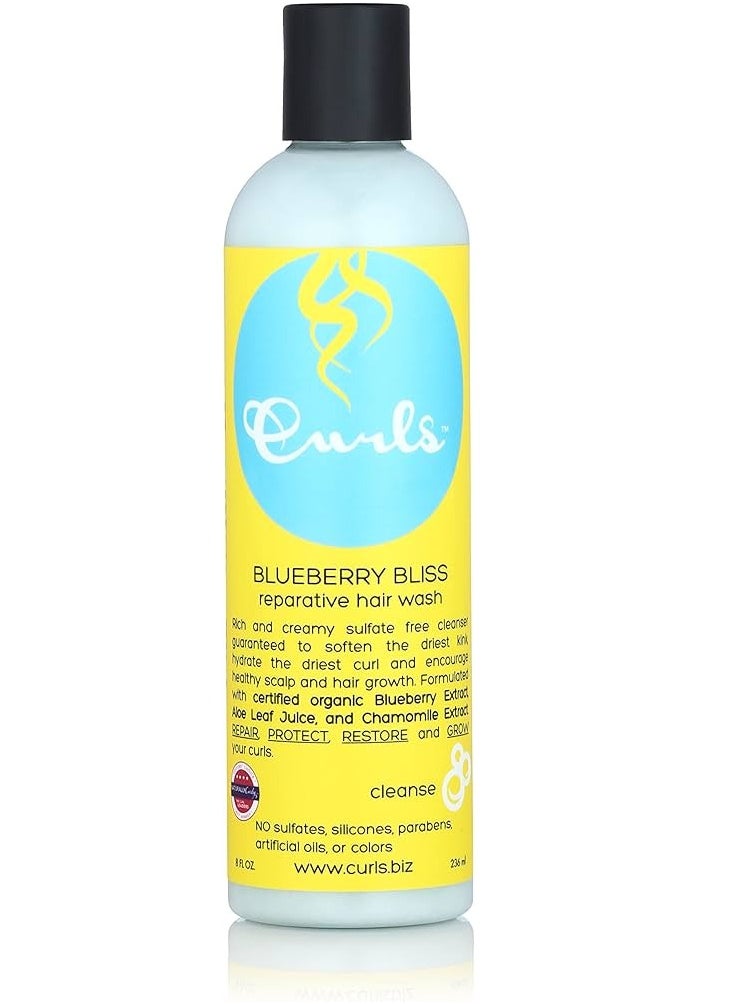 Blueberry Bliss Reparative Hair Wash 236ml - pzsku/ZF223FC37C40485AF3D55Z/45/_/1731487917/44c964ef-e964-4a3b-baf7-7ea9096ea744