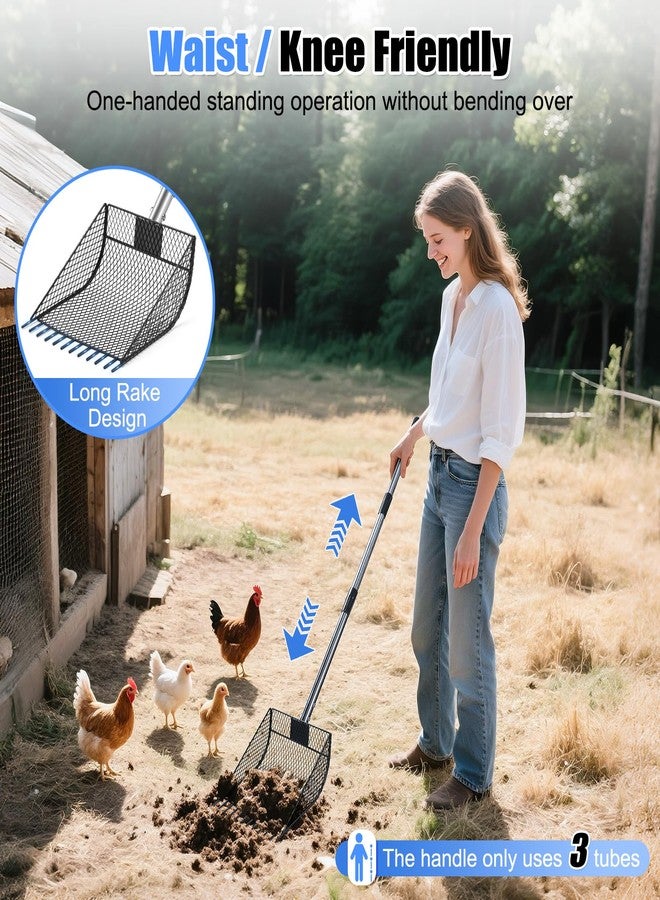 CAROD Chicken Poop Scooper & Rake - Image 2