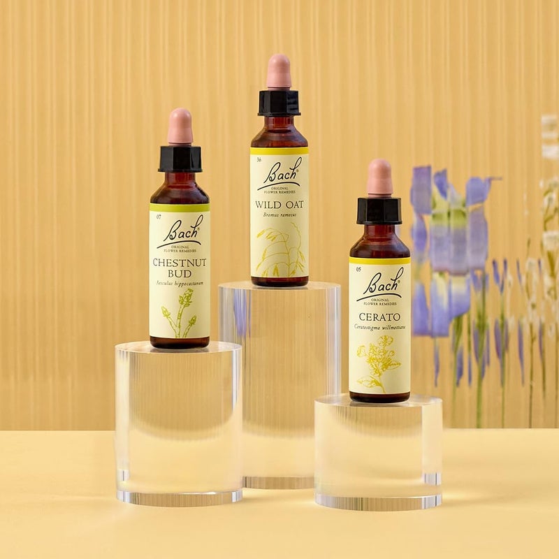 Bach علاجات باخ الأصلية من زهور البرية الشوفان اعرف عقلك قرر مسارك الرفاهية العاطفية جوهر الزهور الطبيعية 20 مل - Image 2