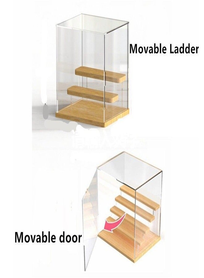 Transparent Display Box with Wooden Base 5 layer Dust proof  - Image 2