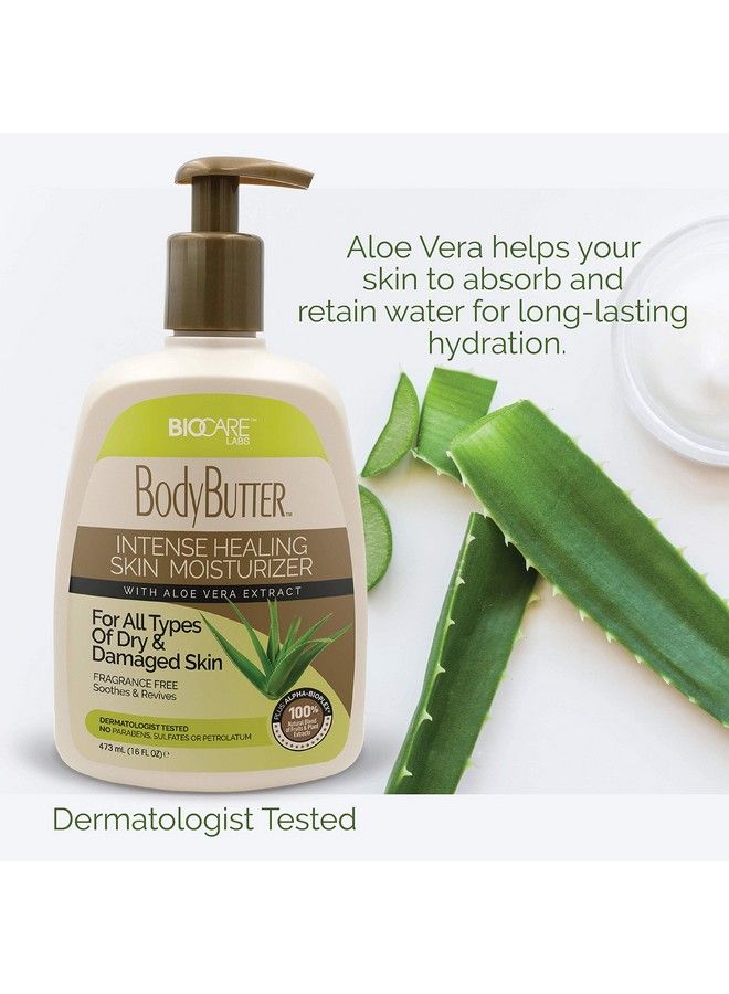Biocare Labs Moisturizing Body Butter Hydrating Body Cream W/Aloe Vera And Cucumber Extractsx (Fragrance Free) Instantly Penetrates And Deeply Renews Skin Lotion Designed For Dry Skin - Image 4