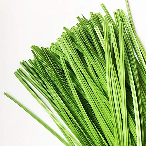 VIMOA Garden Twist Tie Plant Ties Stripes 200 pcs 6 inches for Plants, Vines and Wrapping Cords or Christmas tree - Image 1