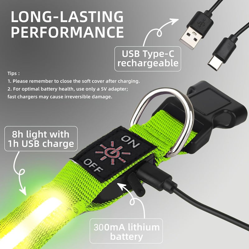 طوق الكلاب LED القابل لإعادة الشحن عبر USB C، ضوء أخضر (L)، للسلامة أثناء المشي ليلاً - Image 2