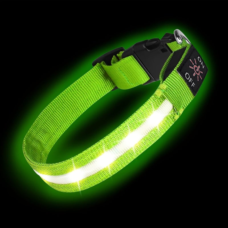 طوق الكلاب LED القابل لإعادة الشحن عبر USB C، ضوء أخضر (L)، للسلامة أثناء المشي ليلاً - Image 1