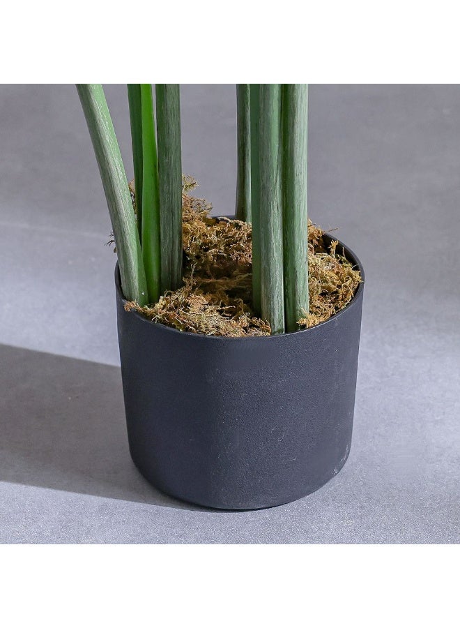 DANUBE HOME Monstera Artificial Plant – 120 cm, Tropical Faux Tree for Homes and Offices, Low-Maintenance Indoor Décor with Realistic Look - Image 3