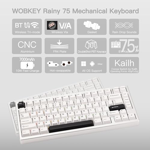 KEEBMONKEY WOBKEY Rainy 75 CNC Aluminum HMX/JWK/Cocoa Switches Triple-Mode Connectivity Mechanical Keyboard with Superior Acoustics, RGB/FR4/Silver SUS304/7000mAh/Cocoa Switch (Pro - Silver) - Image 2