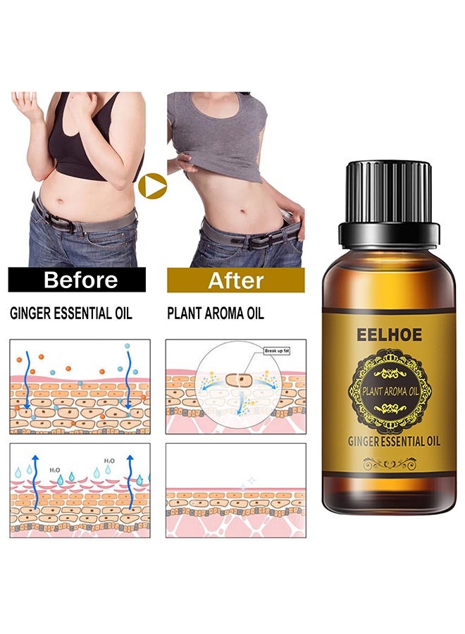 EELHOE Ginger Essential Oil ,Of Essential Oil For Abdominal Fat Removal ,Accelerate Metabolism Burn Calories Beautiful Curve 30ml - Image 5