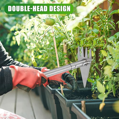 BARAYSTUS Hoe Garden Tool 2in1 Garden Hoe Weed Rake 295577 Adjustable Long Handle Stainless Steel Cultivator for Weeding Digging Loosening Soil Planting Root Removal - Image 3