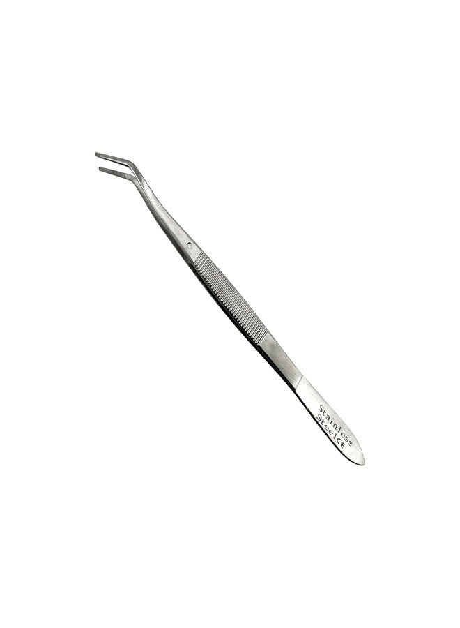 Cynamed Premium Dental Meriam Tweezer Tools-Stainless Steel with Curved Serrated Tip Multipurpose Forceps for Oral Care Denture Teeth Cleaning (1