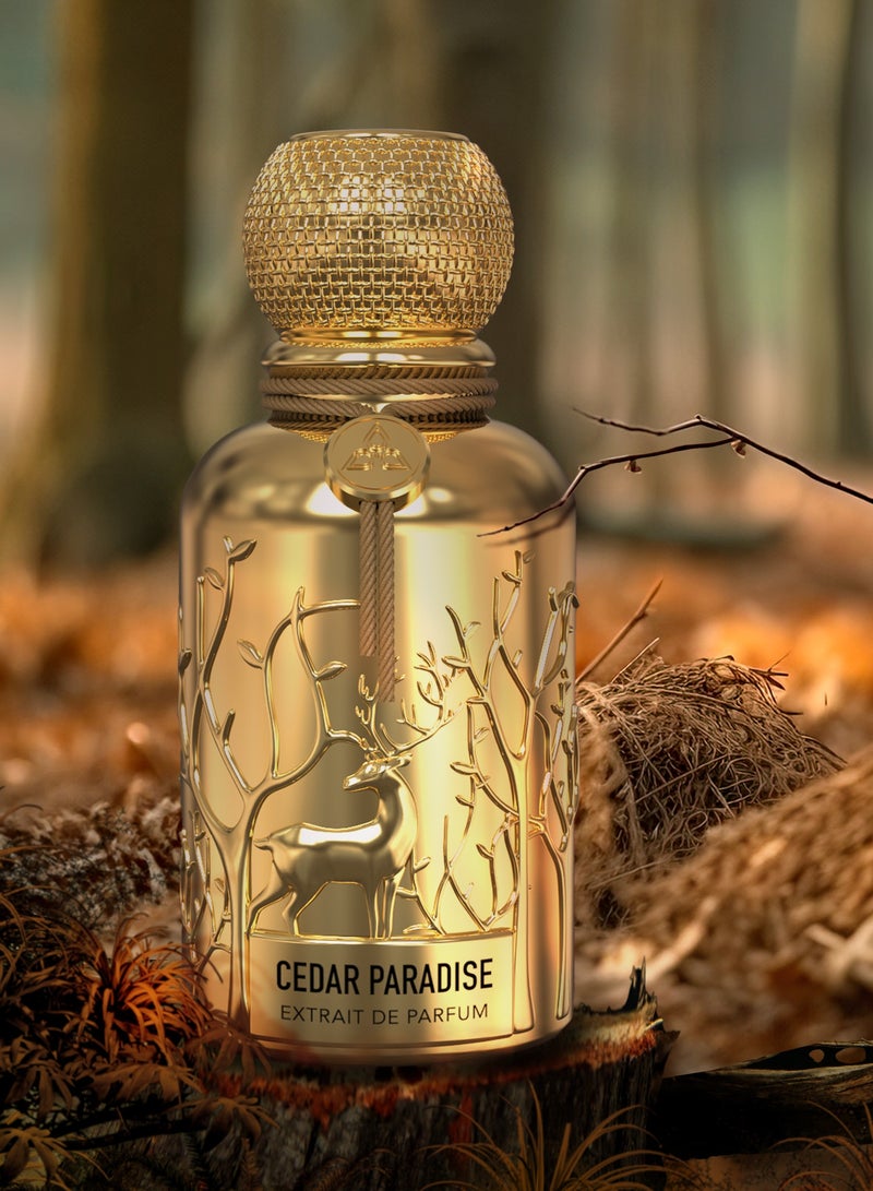 Auraa Desire عطر أورا ديزاير باراديس من خشب الأرز 100 مل – عطر خشبي طويل الأمد للجنسين – مجموعة الأنتاميد - Image 2