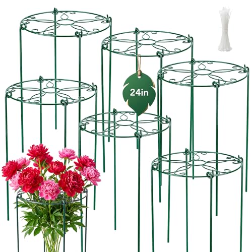 FuBegi 6 Pack 16 x 24 Inch Peony Cages and Supports, 16" D x 24" H Grow Through Plant Support Grid Brace for Outdoor Plants Flower, Metal Peony Stake Peony Ring Hoops Frame Support for Rose Tomato Vegetables - Image 1