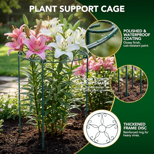 FuBegi 6 Pack 16 x 24 Inch Peony Cages and Supports, 16" D x 24" H Grow Through Plant Support Grid Brace for Outdoor Plants Flower, Metal Peony Stake Peony Ring Hoops Frame Support for Rose Tomato Vegetables - Image 5
