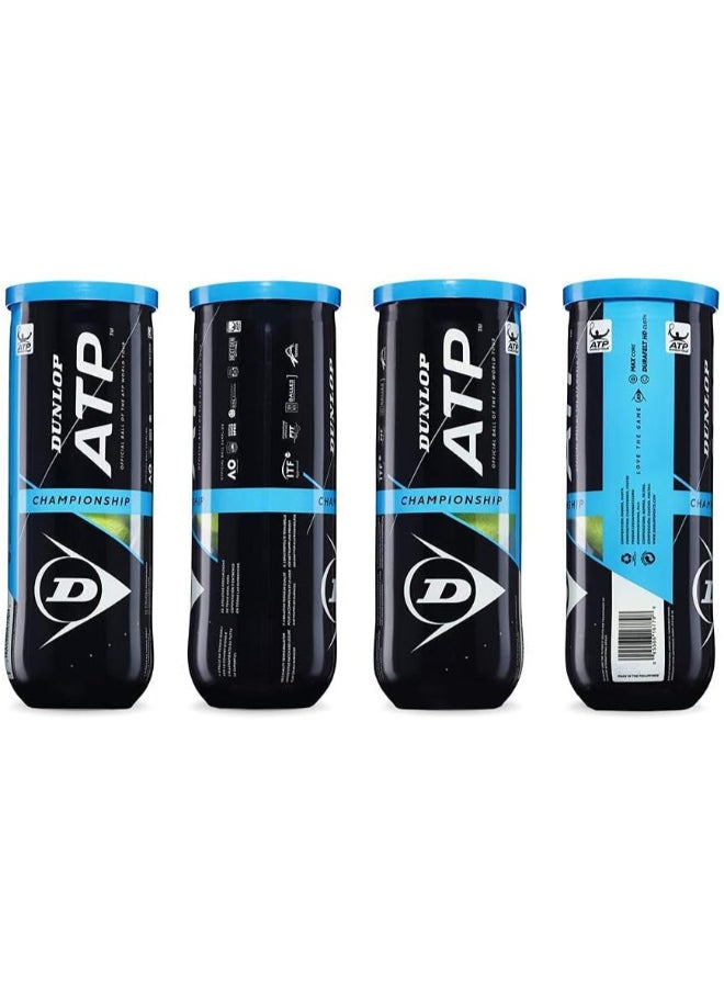 DUNLOP Dunlop ATP Champion Tennis Ball - for clay, hard courts and grass  - Image 3