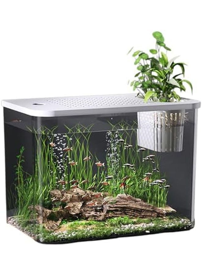 White Clear Fishtank with Safe Lid and Water Plant Holder for Goldfish Home Desktop Aquarium - Image 1
