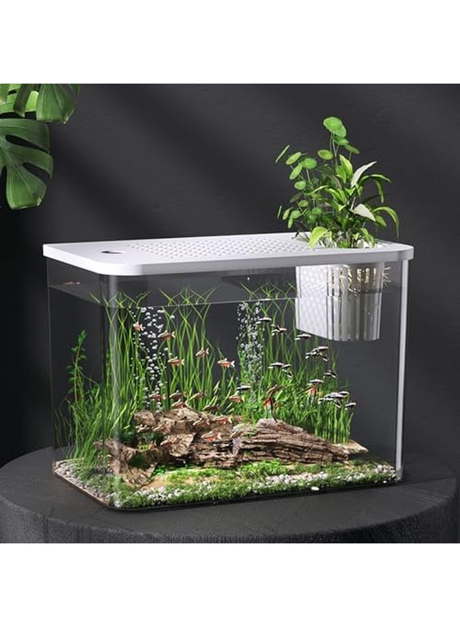 White Clear Fishtank with Safe Lid and Water Plant Holder for Goldfish Home Desktop Aquarium - Image 3