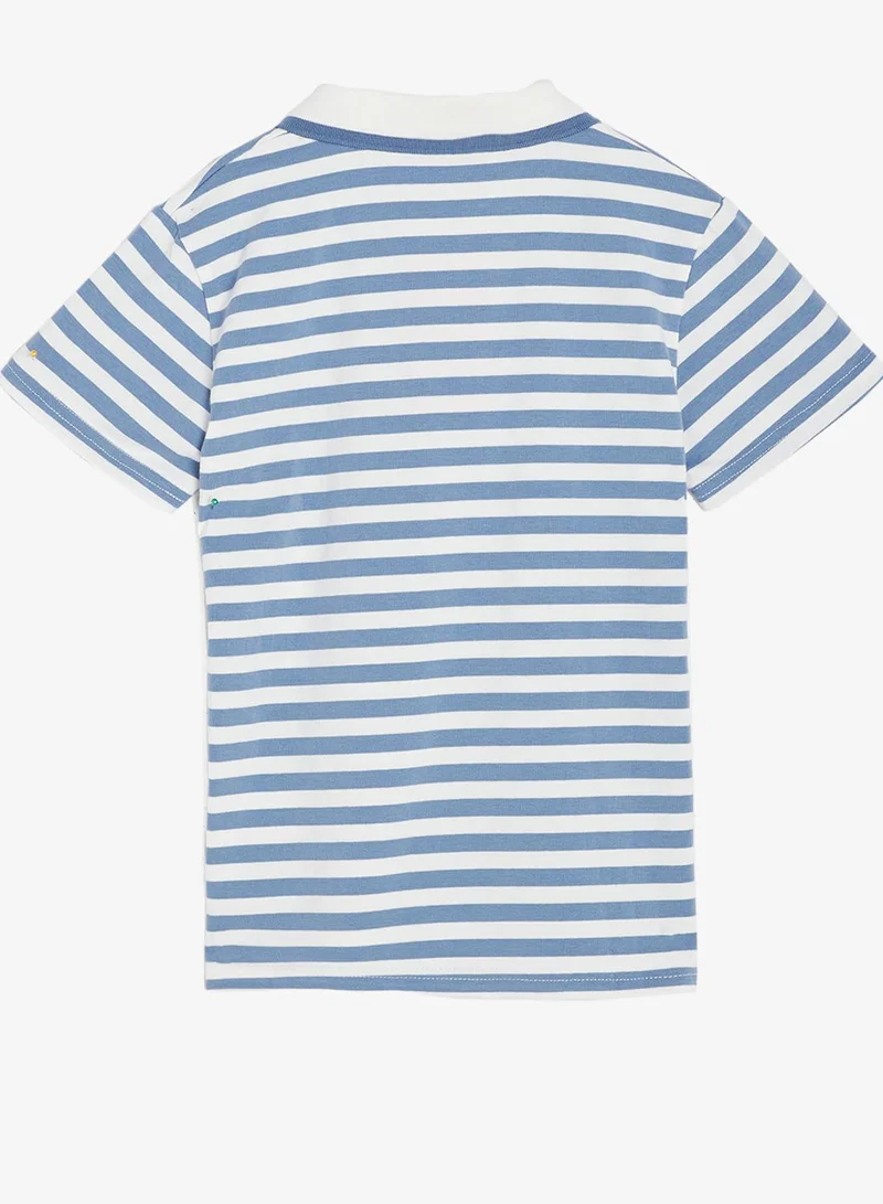 Pinata  Cute Puppy Print Stripe Cotton Polo Tshirt for Men | Best Price UAE