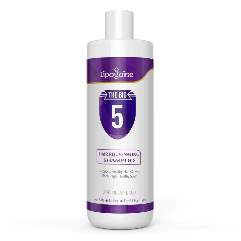 Lipogaine Big 5 Hair Stimulating All Natural Shampoo for Hair Thinning Breakage purple 16oz