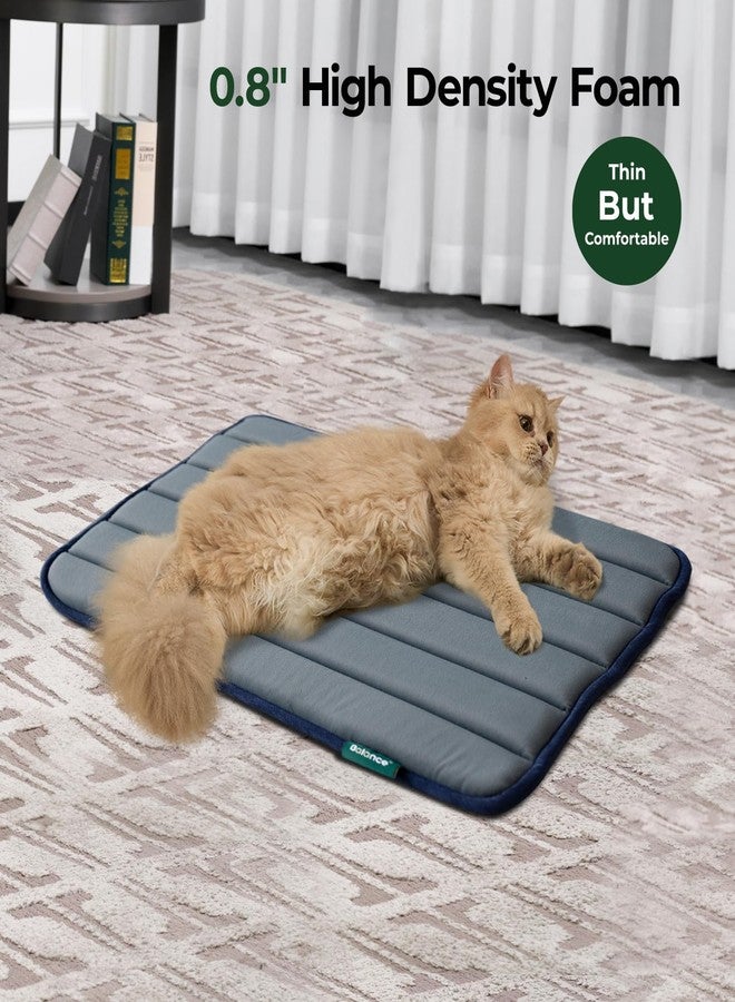 بالنس وسادة قفص الكلاب من BALANCE، حصيرة قفص إسفنجية للكلاب، وسادة قفص قابلة للغسل ومقاومة للماء، حصيرة قفص مسطحة للكلاب الصغيرة، عبوتان - Image 3