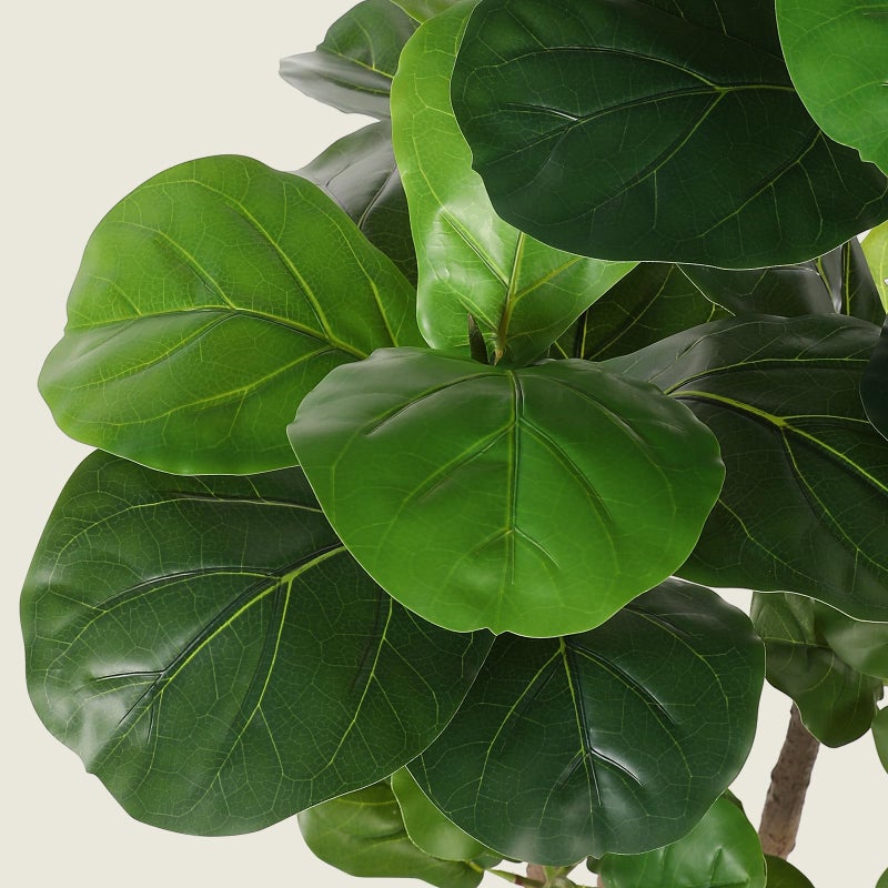 Realead Fiddle Leaf Fig Tree Artificial - 5ft Faux Fiddle Leaf Fig Tree with White Planter - Large Fig Tree Artificial with Natural Wood Trunk and Lifelike Leaves for Home Living Room Indoor Decor - Image 3