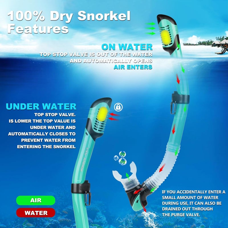 EXP VISION Schnorchelset Schnorchelausrstung fr Erwachsene, Professionelle Anti-Beschlag-Schnorchelmaske, Trockenschnorchel Tauchmaske fr Freitauchen,Schnorcheln,Schwimmen - Image 4