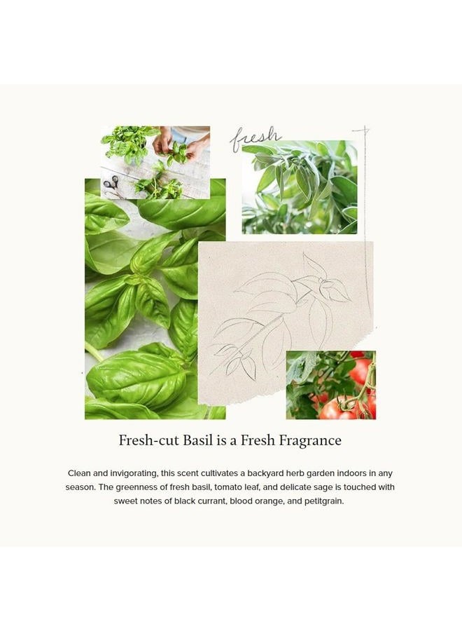 Thymes Moisturizing Hand Lotion for Dry Skin - Moisturizer for Beauty and Personal Care - Luxury Hand Lotion for Women & Men with Shea Butter & Aloe Vera (Fresh-Cut Basil, 9 fl oz) - Image 3