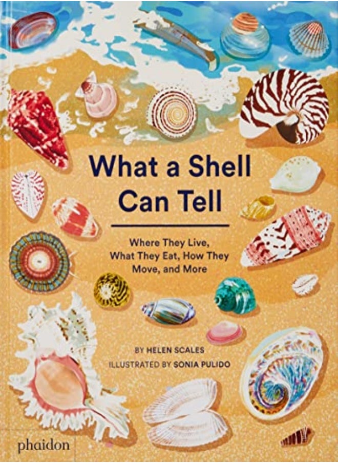 WHAT A SHELL CAN TELL 
