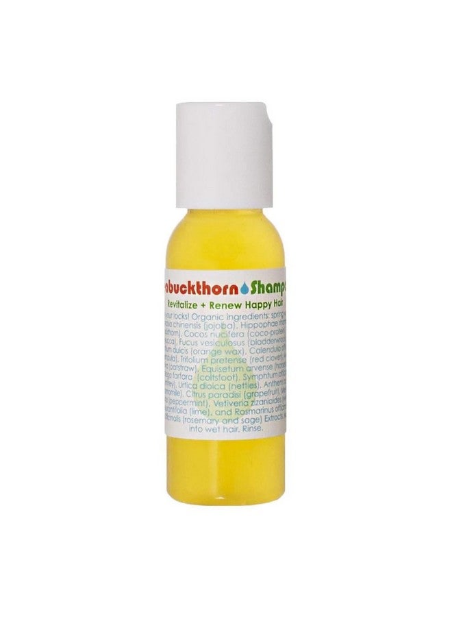 Living Libations Organic Seabuckthorn Shampoo ; Natural Wildcrafted Clean Beauty (1 Fl Oz ; 30 Ml) - Image 2