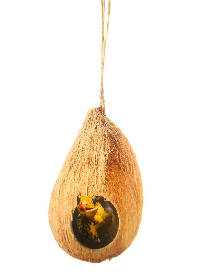 Natural Coconut Reptile Hide with Fiber Loop, Hideout for Gecko, Snake & Fish, Egg Laying Shelter, Hanging Bird House, Perfect for Small Finch, Humming Birds Opening 2” Diameter, 1 Pack (1-Hole) - Image 1