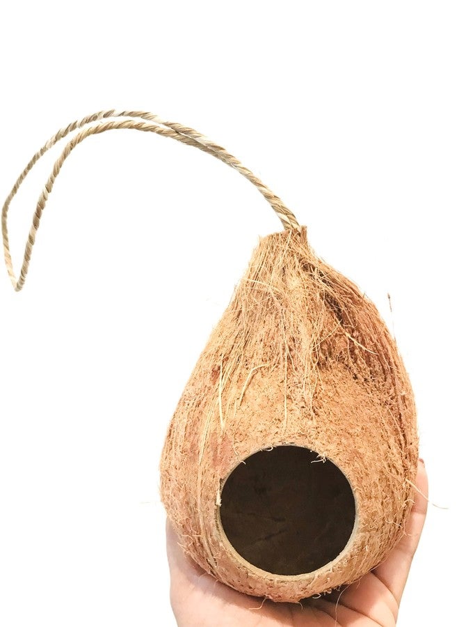 Natural Coconut Reptile Hide with Fiber Loop, Hideout for Gecko, Snake & Fish, Egg Laying Shelter, Hanging Bird House, Perfect for Small Finch, Humming Birds Opening 2” Diameter, 1 Pack (1-Hole) - Image 3