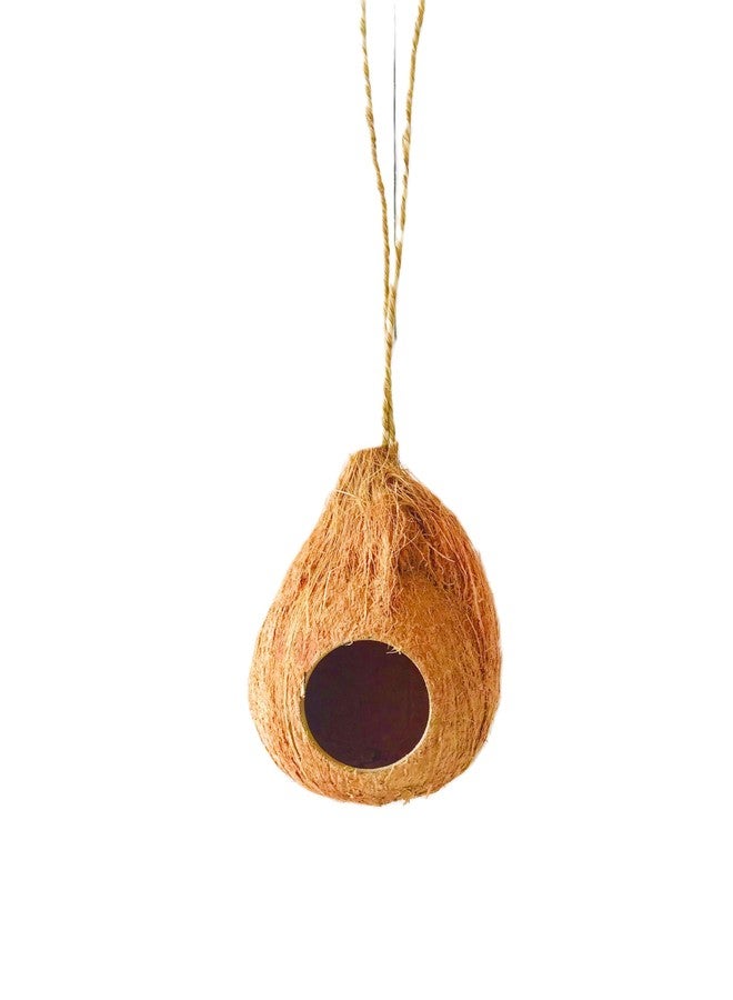 Natural Coconut Reptile Hide with Fiber Loop, Hideout for Gecko, Snake & Fish, Egg Laying Shelter, Hanging Bird House, Perfect for Small Finch, Humming Birds Opening 2” Diameter, 1 Pack (1-Hole) - Image 4