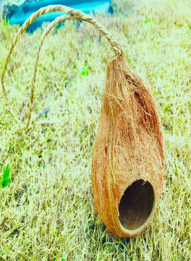 Natural Coconut Reptile Hide with Fiber Loop, Hideout for Gecko, Snake & Fish, Egg Laying Shelter, Hanging Bird House, Perfect for Small Finch, Humming Birds Opening 2” Diameter, 1 Pack (1-Hole) - Image 2