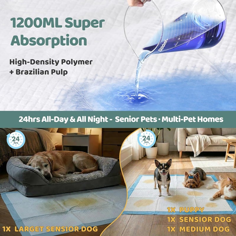 Gimars 3XL 30"x36" Thicken 6 Layers Ultra Absorbency Dog Pee Pad Extra Large 3S Quick Dry Leakproof Pee Pads for Dogs, Cats, Rabbits Pets - Image 3
