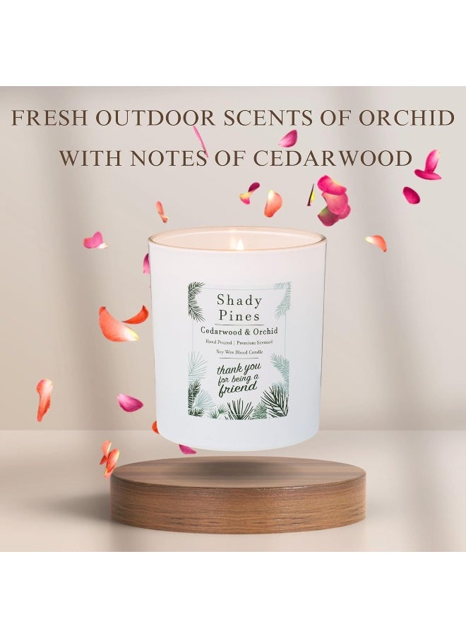 Chillkat Chillkat Shady Pines Candle, Thank You for Being a Friend, Cedarwood and Orchid  - Image 3