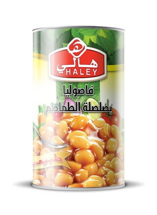 Haley Baked Beans, 400 g - pzsku/ZF240D09C905A3F741D96Z/45/_/1736863005/cd99d8b9-0255-4c24-9e3b-5706e8da202a