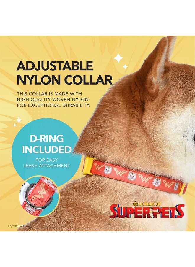 DC Comics DC Comics League of Super-Pets PB Wonder Woman Dog Collar, Large | Officially Licensed DC League of Super-Pets PB Dog Collar | Large Dog Collar DC Wonder Woman Style with D-Ring for Leash - Image 3