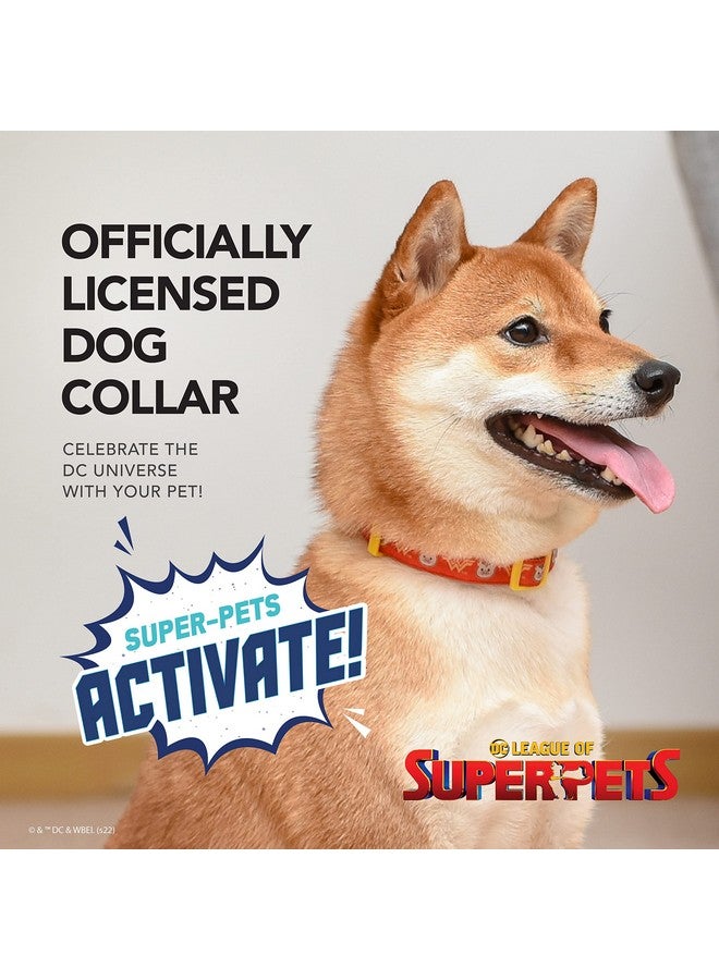 DC Comics DC Comics League of Super-Pets PB Wonder Woman Dog Collar, Large | Officially Licensed DC League of Super-Pets PB Dog Collar | Large Dog Collar DC Wonder Woman Style with D-Ring for Leash - Image 2
