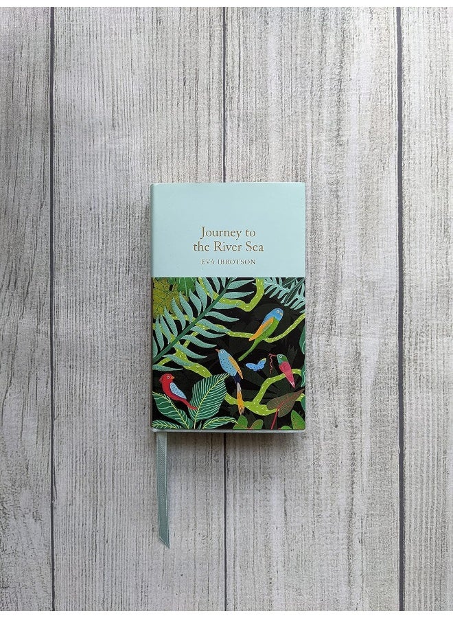 Journey to the River Sea - Image 2