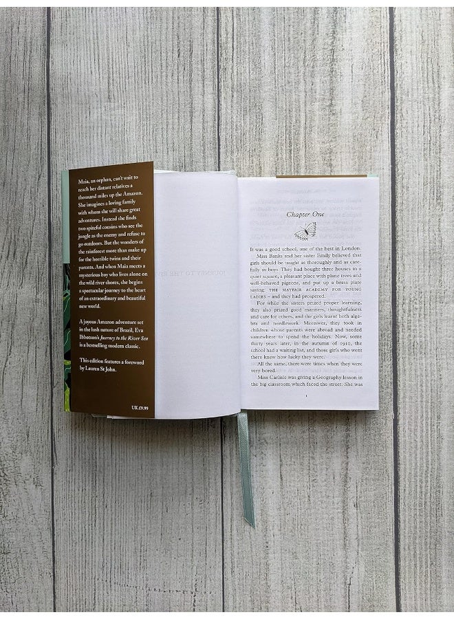 Journey to the River Sea - Image 5