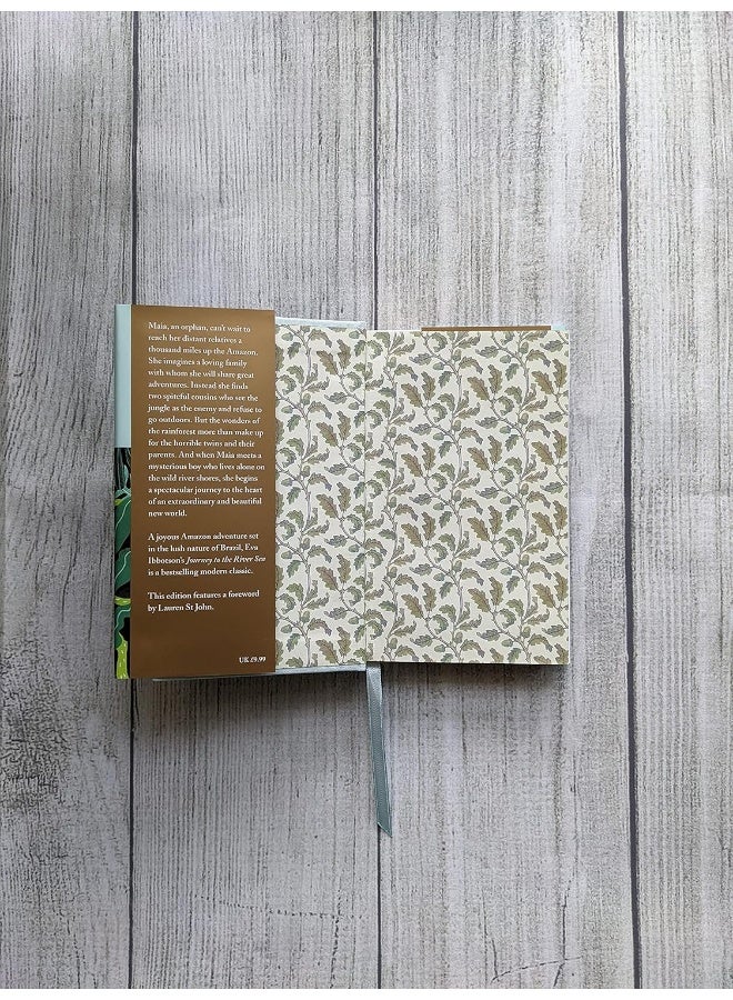 Journey to the River Sea - Image 4