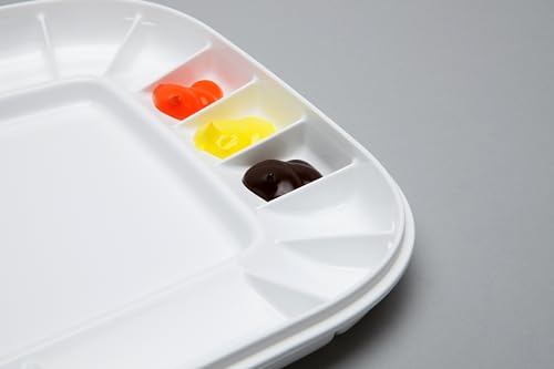 Mijello Acrylic Oil Color Palette Artelier Airtight 330x230x30 MAP-3025 - Image 2
