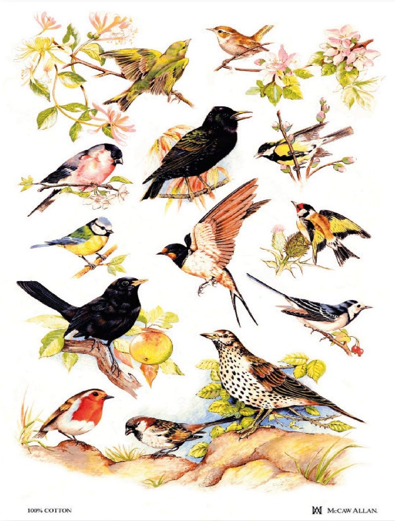 Samuel Lamont British Birds KitchenTea Towel Imported 100 Percent Cotton