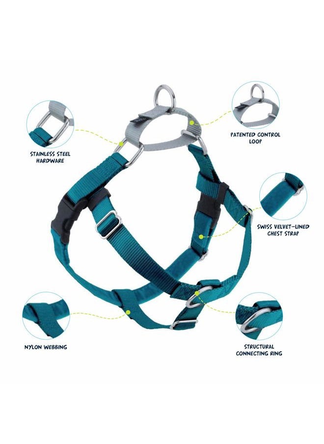 2 HOUNDS DESIGN Freedom No Pull Dog Harness, Adjustable Harness and Leash Set, Easy Walking & Comfortable Control, Fits Small, Medium & Large Dogs, Solid Colors, Made in USA, 1" LG, Teal  - Image 2