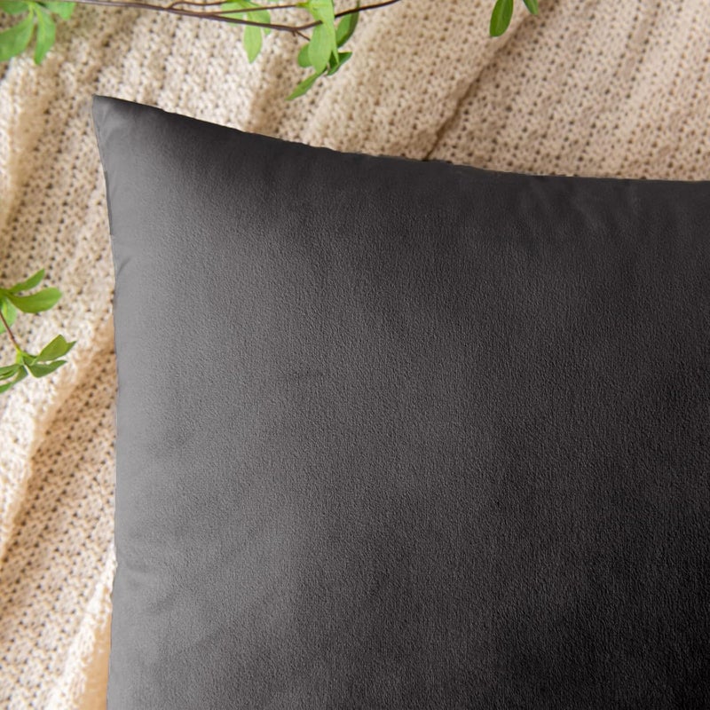 EMEMA Velvet Cushion Cover Cushion Cover Decorative Cushion Sofa Cushion Lumbar Cushion Throw Cushion Cover with Hidden Zip Sofa Bedroom Set of 2 50 x 50 cm Dark Grey - Image 2