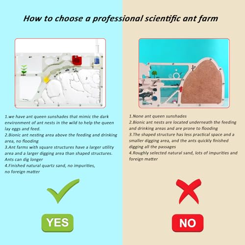 EXBEPE Sand Ant Farm Castle Ant Colony Ecosystem Science Educational Gift Live Ant Habitat to Study Insect Behavior - Image 2