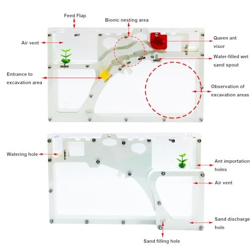 EXBEPE Sand Ant Farm Castle Ant Colony Ecosystem Science Educational Gift Live Ant Habitat to Study Insect Behavior - Image 5