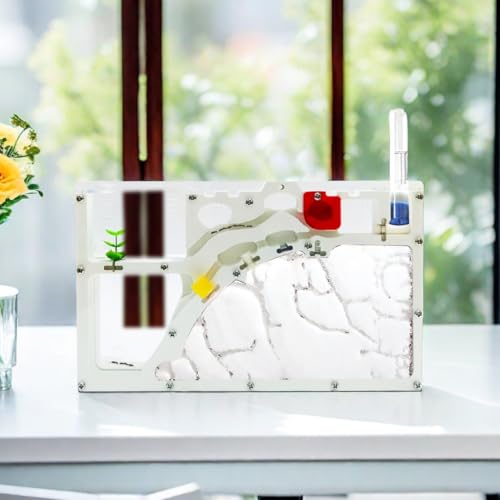 EXBEPE Sand Ant Farm Castle Ant Colony Ecosystem Science Educational Gift Live Ant Habitat to Study Insect Behavior - Image 4