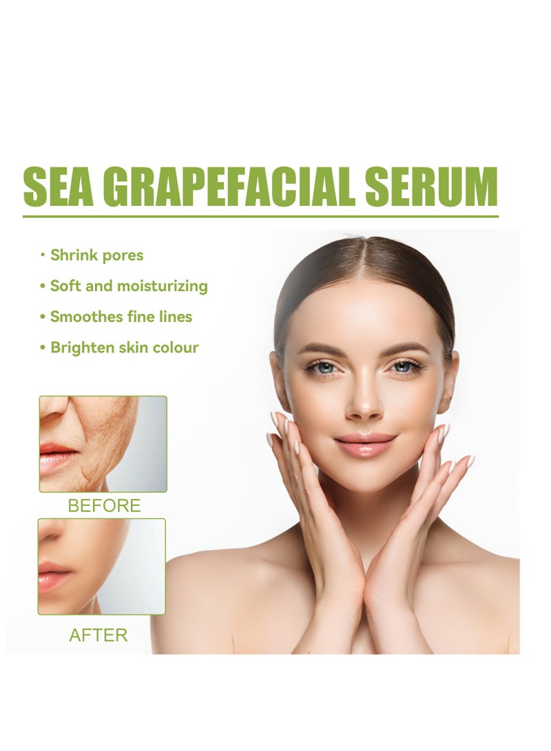 EELHOE Sea Grape Anti-Wrinkle Essence Facial Serum, Hydrating and Moisturizing Anti-Aging Serum – Shrinks Pores, Smooths Skin, Reduces Wrinkles & Fine Lines – Suitable for All Skin Types 35ml - Image 2