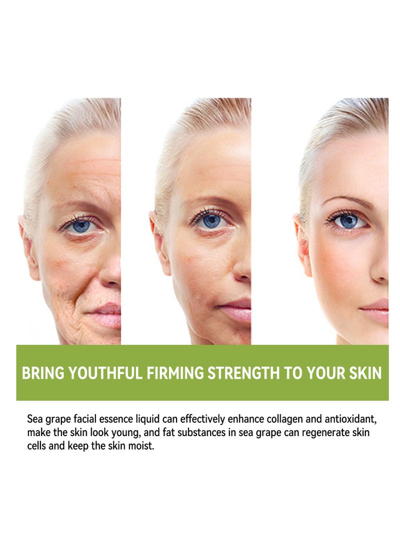 EELHOE Sea Grape Anti-Wrinkle Essence Facial Serum, Hydrating and Moisturizing Anti-Aging Serum – Shrinks Pores, Smooths Skin, Reduces Wrinkles & Fine Lines – Suitable for All Skin Types 35ml - Image 5